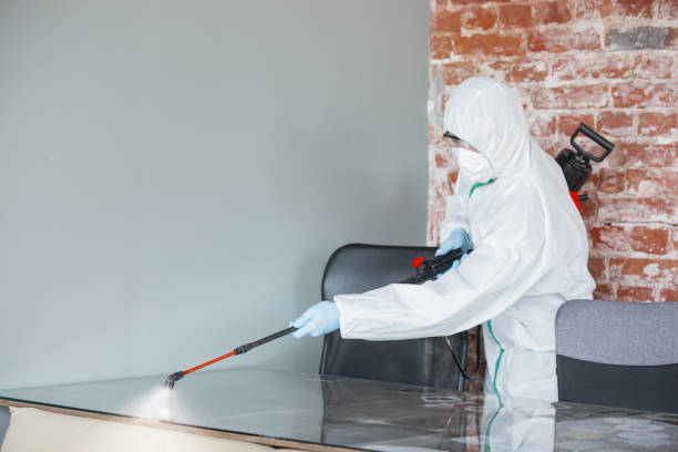 Best Mold Remediation for Healthcare Facilities in USA